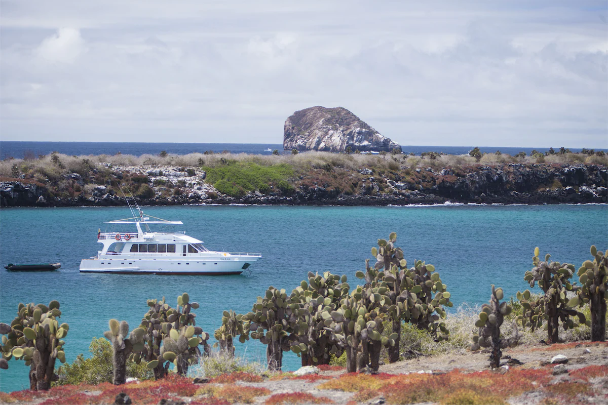 Yacht anchored beside a wildlife-rich islet