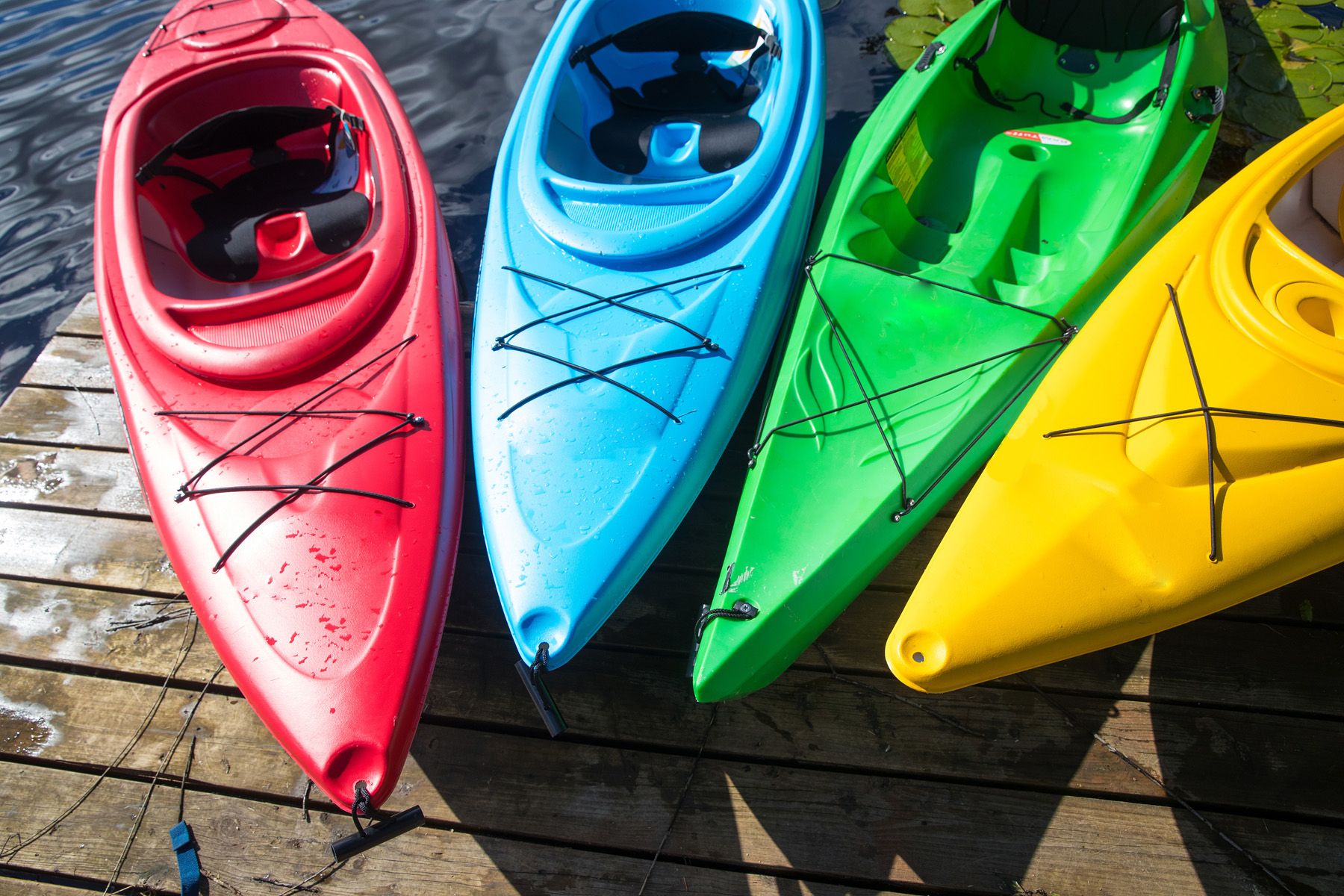 Kayak to Tintoreras Islet