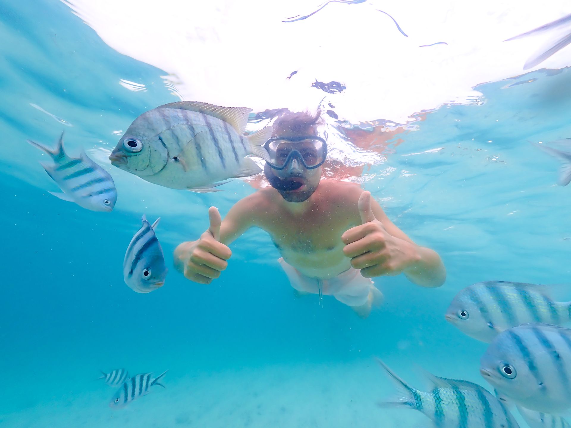 Snorkeler with reef fish