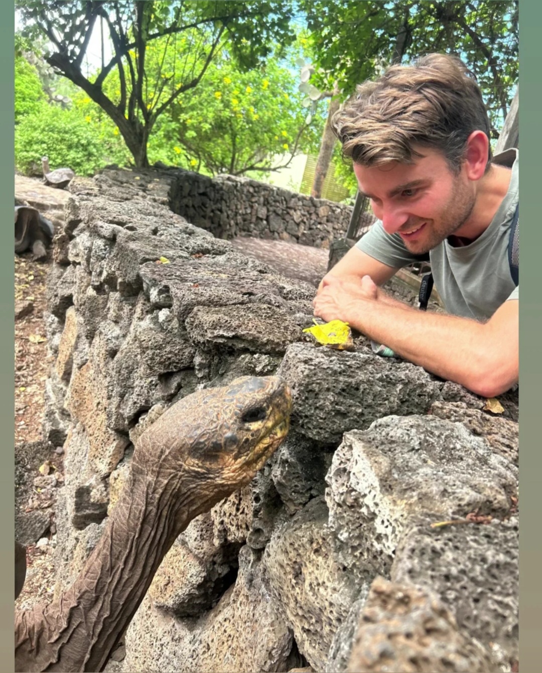 Traveler meeting a giant tortoise